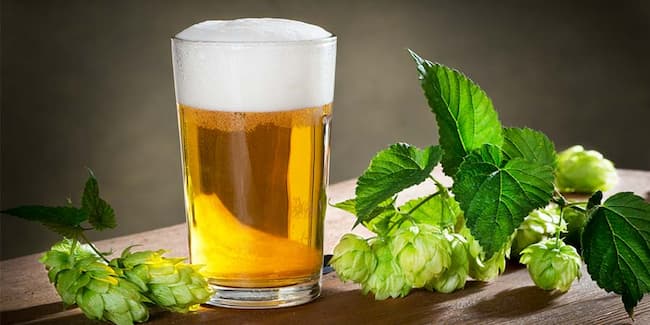 how many hops is needed to make beer