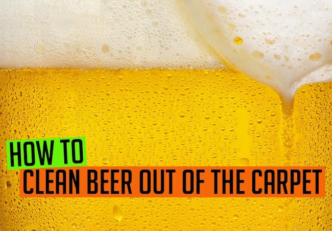 remove beer stains from carpet
