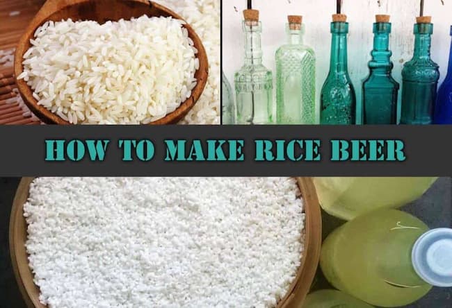 how to make rice beer