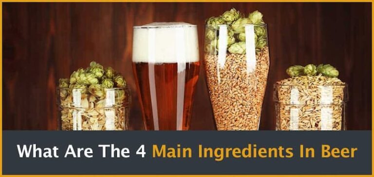 What Are The Main Ingredients of Beer