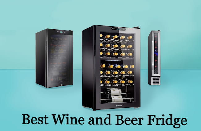 best wine and beer fridge