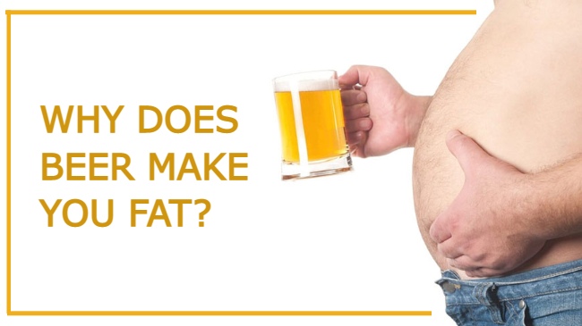 why does beer make you fat