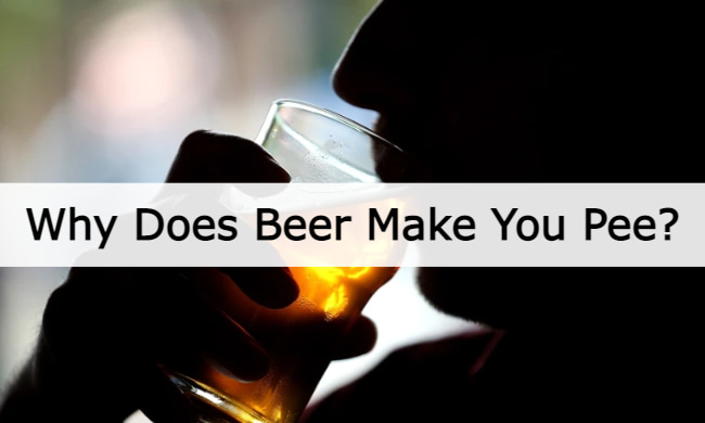 why does beer make you pee