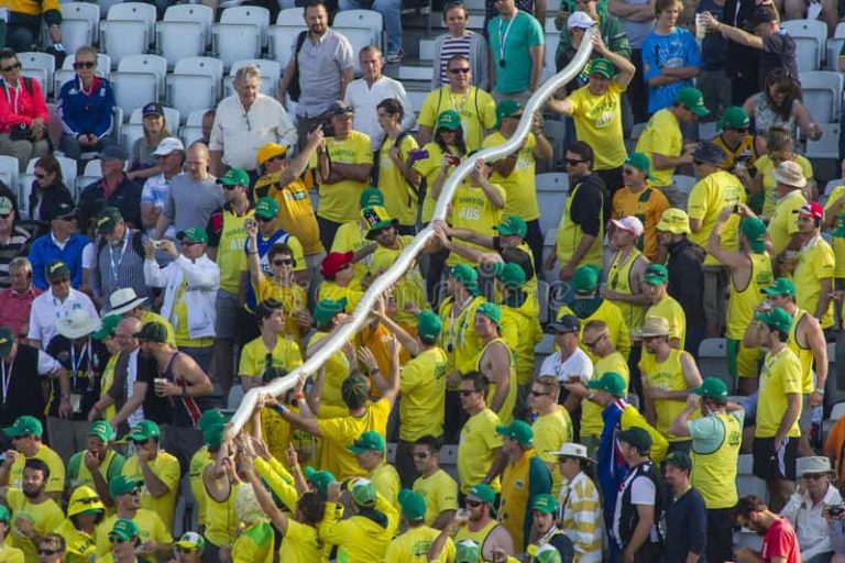 What is a Beer Snake? Enjoy Your Favorite Alcoholic Beverage