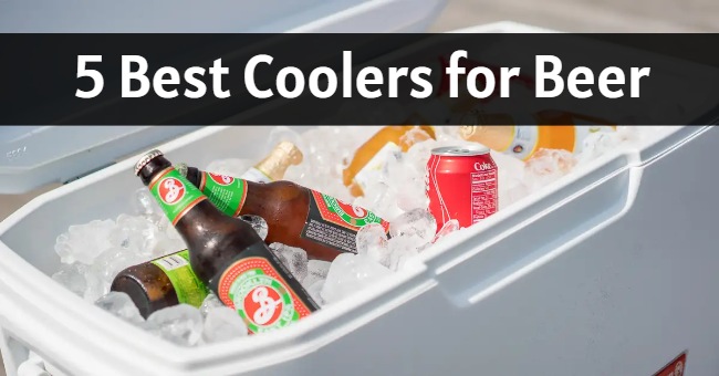 best coolers for beer 2023