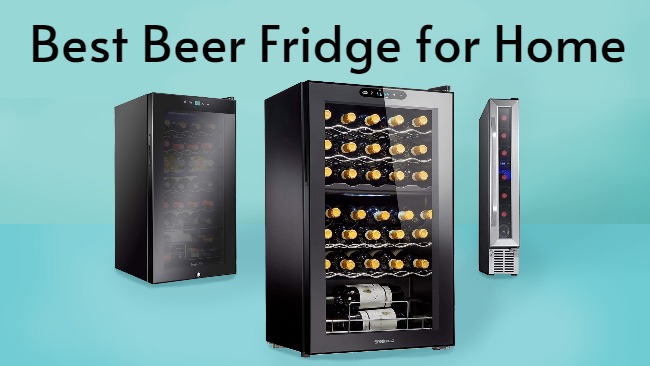 Best Beer Fridge for Home