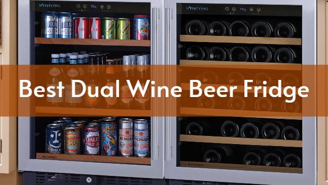 Best Dual Wine Beer Fridge