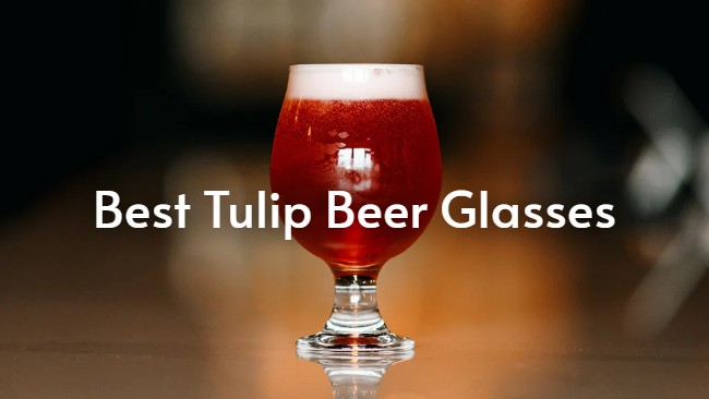 best tulip beer glass