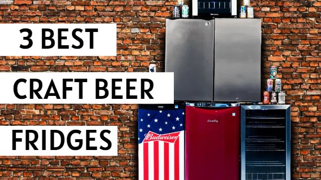 best craft beer fridge