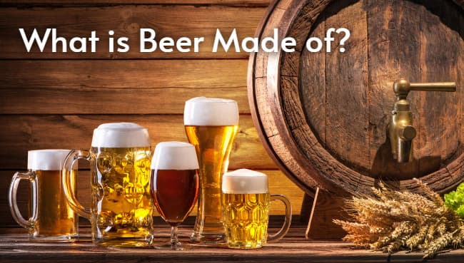 what is beer made of