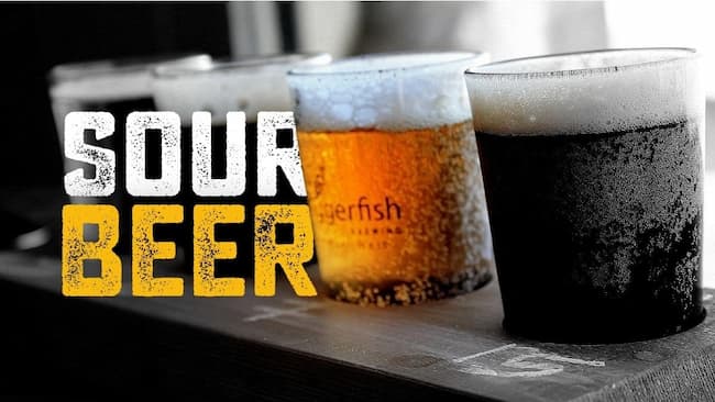 Sour Beer Recipe How To Make Sour Beer At Home Easily