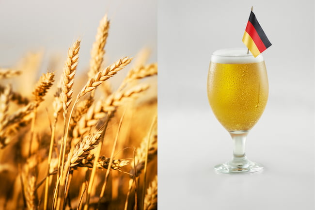 german wheat beer