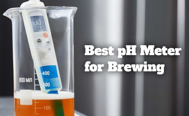 ph meter for brewing