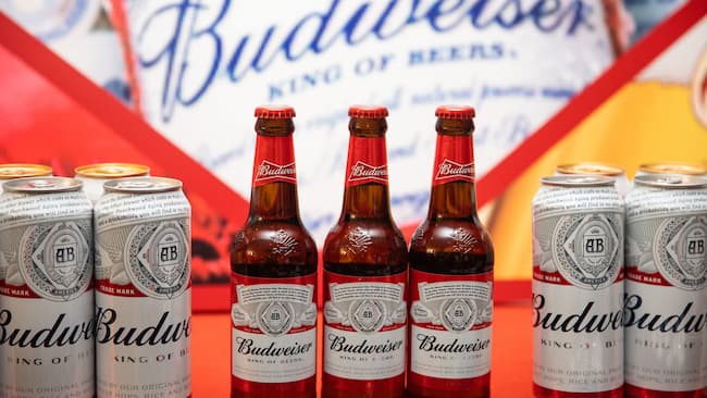 what is budweiser